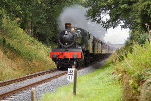 7802 approaches Crossing Cottage on 9 Aug with the 12.20 Bridgnorth – Kidderminster